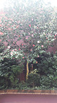 20190426_135858