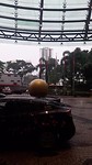20190426_114408