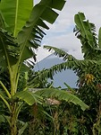 Mount Meru