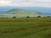 The view