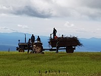 Farmers