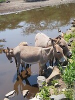 De zoo bij Marion
