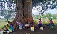 Imbaseni school_food selling