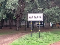 Village sign