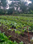 Watoto Foundation