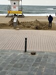 IMG_0132