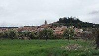 Navarette