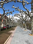 Nog een keer de Paseo!