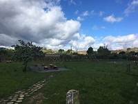 Boeren planten hier fruitbomen voor de pelgrims!