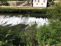 Rivier