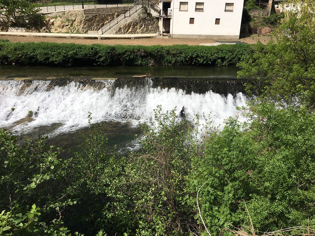 Rivier