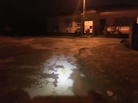 Onze lichtjes