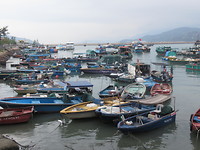 Haven
