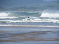 Surfer