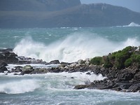 Curio Bay