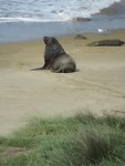 Waipapa Point