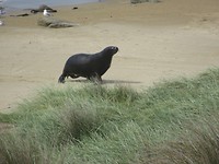 Waipapa Point