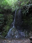 Avondwandeling bij Pelorus