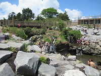 Hot Springs