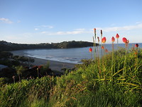 Oneroa Beach