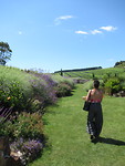 Stonyridge Vineyard