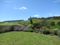 Stonyridge Vineyard