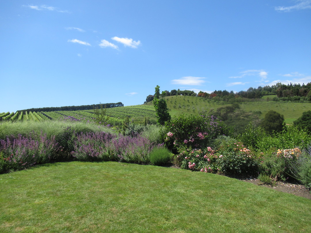 Stonyridge Vineyard
