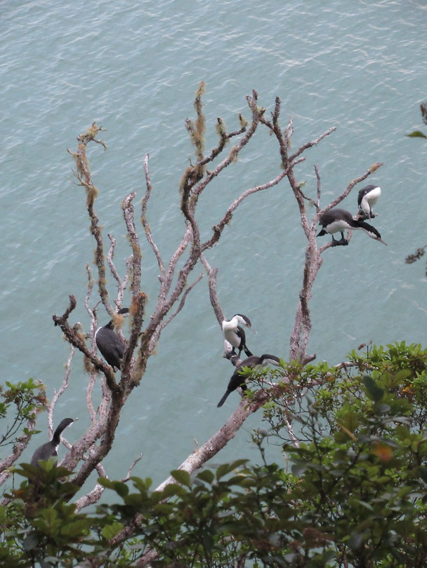 ..