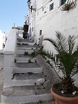 Ostuni