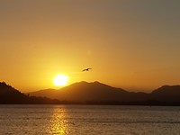 20170201_181021
