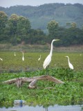 Toer Lago Suchitlan