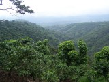 uitzicht tijdens de toer langs de 7 watervallen in Juayua