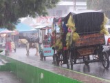 Regenbuitje in Juayua