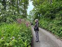 Els wandeling Dale