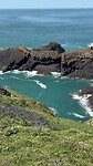 Skomer Island