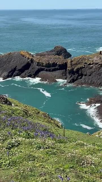 Skomer Island