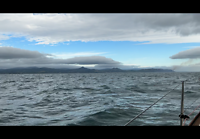 Ierland