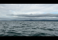 Kust Ierland