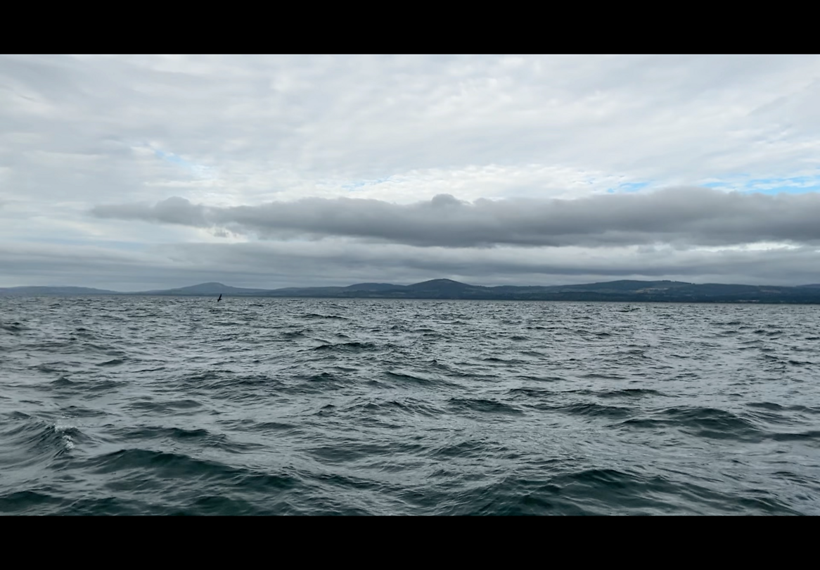 Kust Ierland