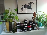 138 oogst 3 x bramenplukken
