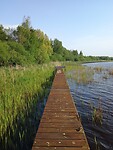 02 - Steiger overgenomen door het riet.