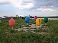 03 - Tulpeiland