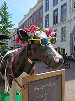 13 - Nog een bonte Koe, op de Oude Binnenweg
