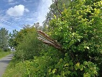 37 - gevaarlijk hier