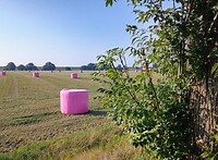 G's favoriete rollen
