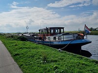 Lp 15- Wyns