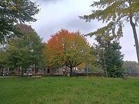 Herfst in Zutphen