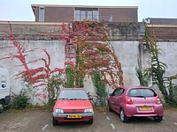 Zomaar een muur in Zutphen