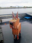 Onze waakhond heeft staan suffen