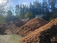 Vulkaantjes in de Weerribben